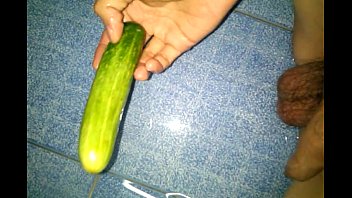 Cucumber 1