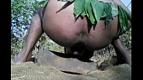 Tarzan Boy Sex In Jungle Wood (breve)