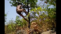 Village Boy Nudo Safar In Forest Play With Tree's