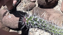 CactusPollaSemen