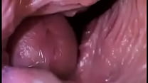 Dick à l'intérieur d'un vagin