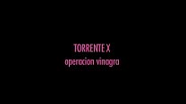 Torrent X - Opération Vinaigre