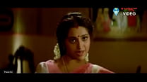 Tamilische Schauspielerin Meena Uncornered