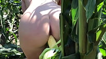 Riley Jacobs jugando en el campo de maíz