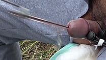 máquina de mierda uretral chorros