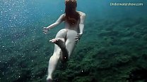 Тенерифе подводное плавание горячий имбирь