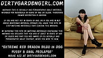 Extreme red dragon dildo in Dirtygardengirl pussy & anal prolapse