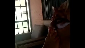 Thérapie de sevrage tabagique Domina Gina - Séances en face à face à Madrid 200 € Appels vidéo Skype avec paiement par Paypal Bizum 2 € minute 644716207 pibondegym@gmail.com https://domina-gina.webnode.es/