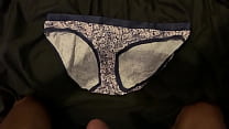 Cumming on gf’s Jessica Simpson Panties