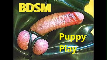 075 BDSM Cachorro Jugar