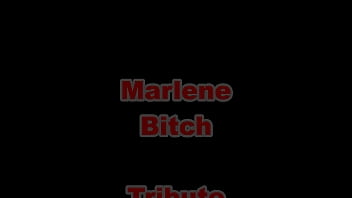 Tribute - Marlene Bitch