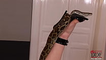 Nena de sangre caliente jugando con una serpiente